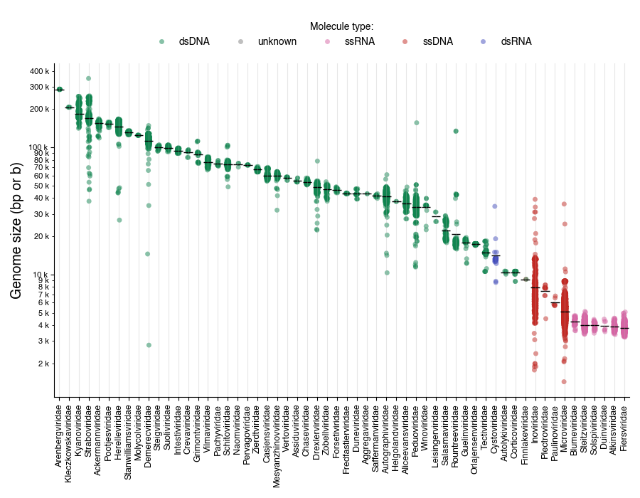 Bacteriophage genome sizes